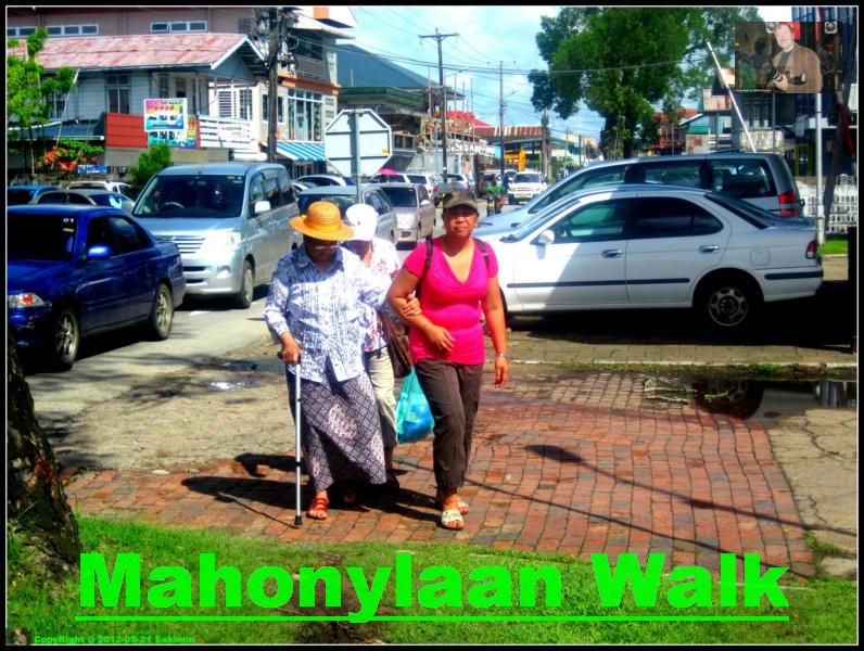 2012-05-24 Mahonylaan Walk